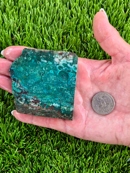 Globe Chrysocolla & Malachite Slabs V991–995