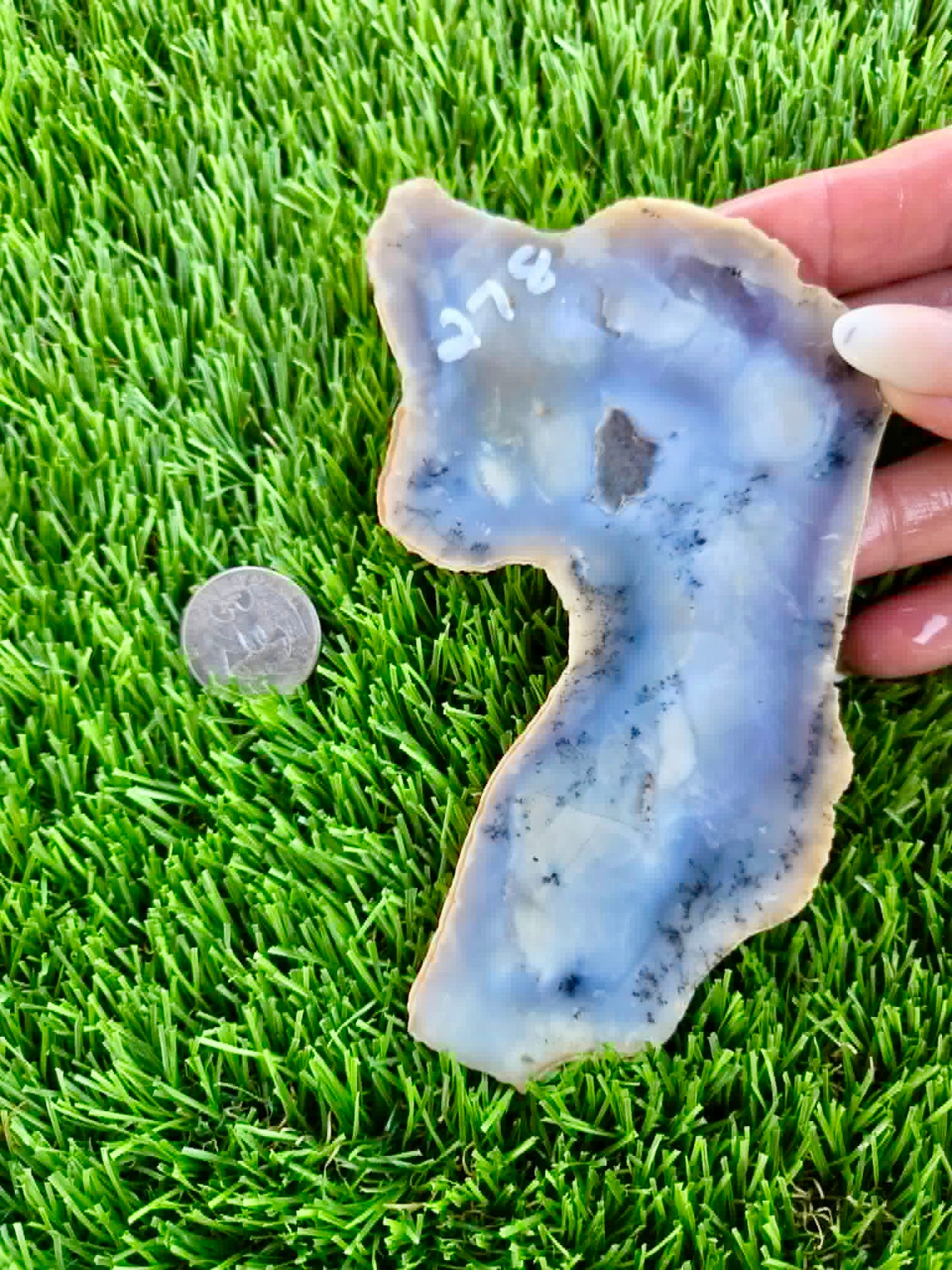 Purple Burro Creek Agate Slab 275-280