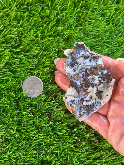 Camp Verde Agate H401-404