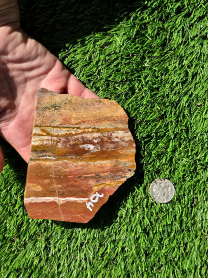 Banded Arizona Jasper with Quartz Veins Slabs O704–707