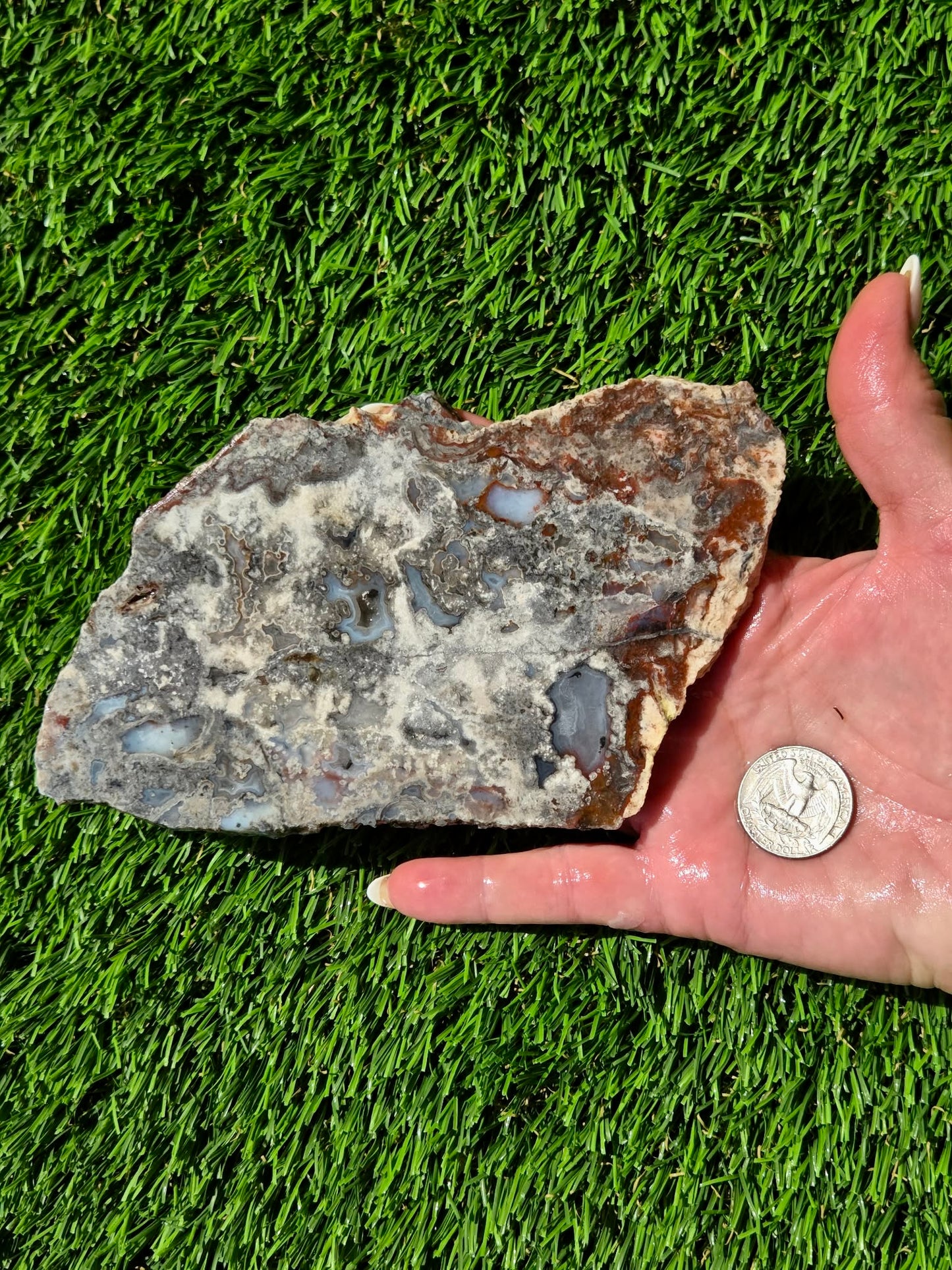 Camp Verde Agate Slabs R848–851