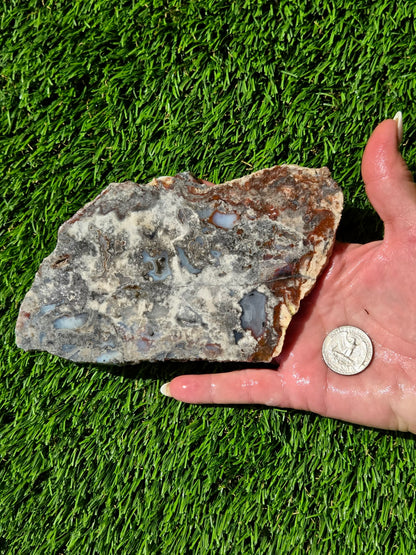 Camp Verde Agate Slabs R848–851