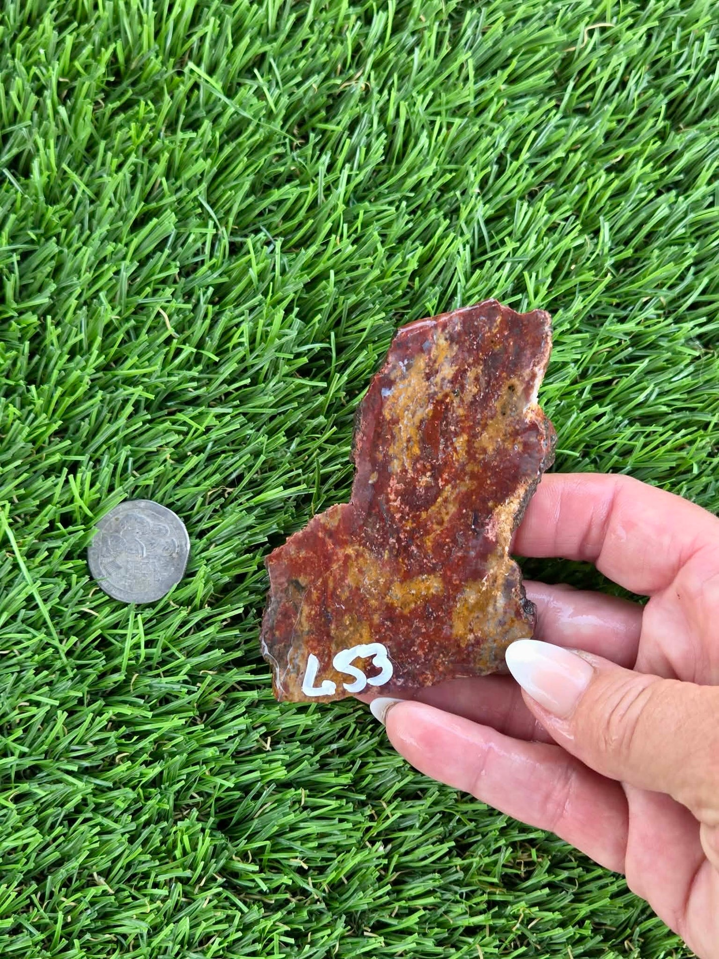 Red & Mustard Jasper Slabs N652-657