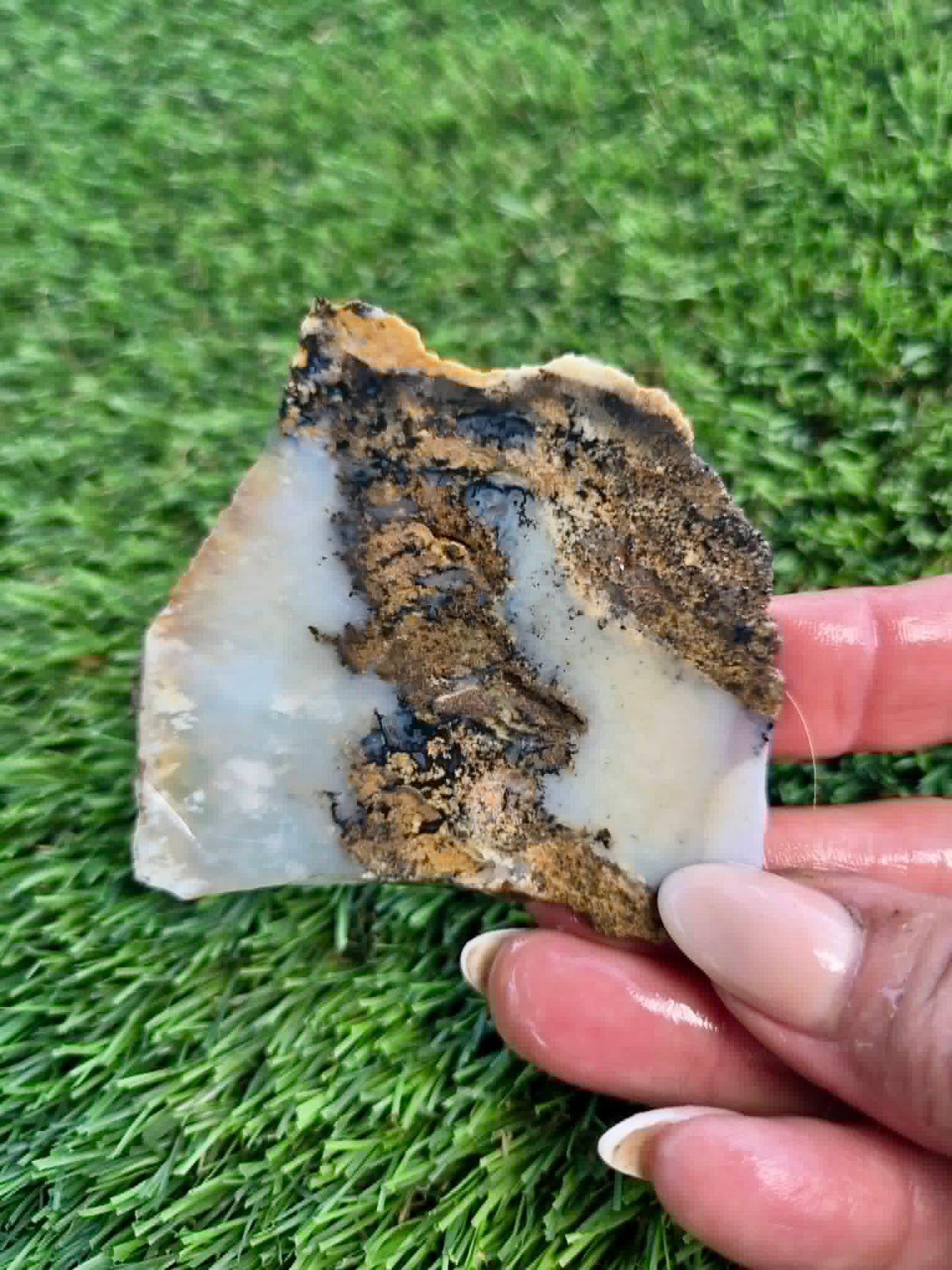 Graveyard Point Plume Agate Slabs G317-322