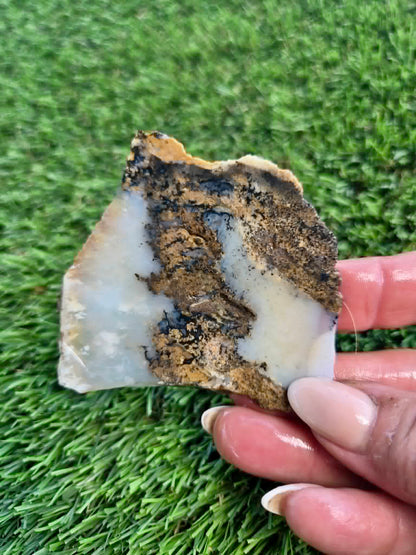 Graveyard Point Plume Agate Slabs G317-322