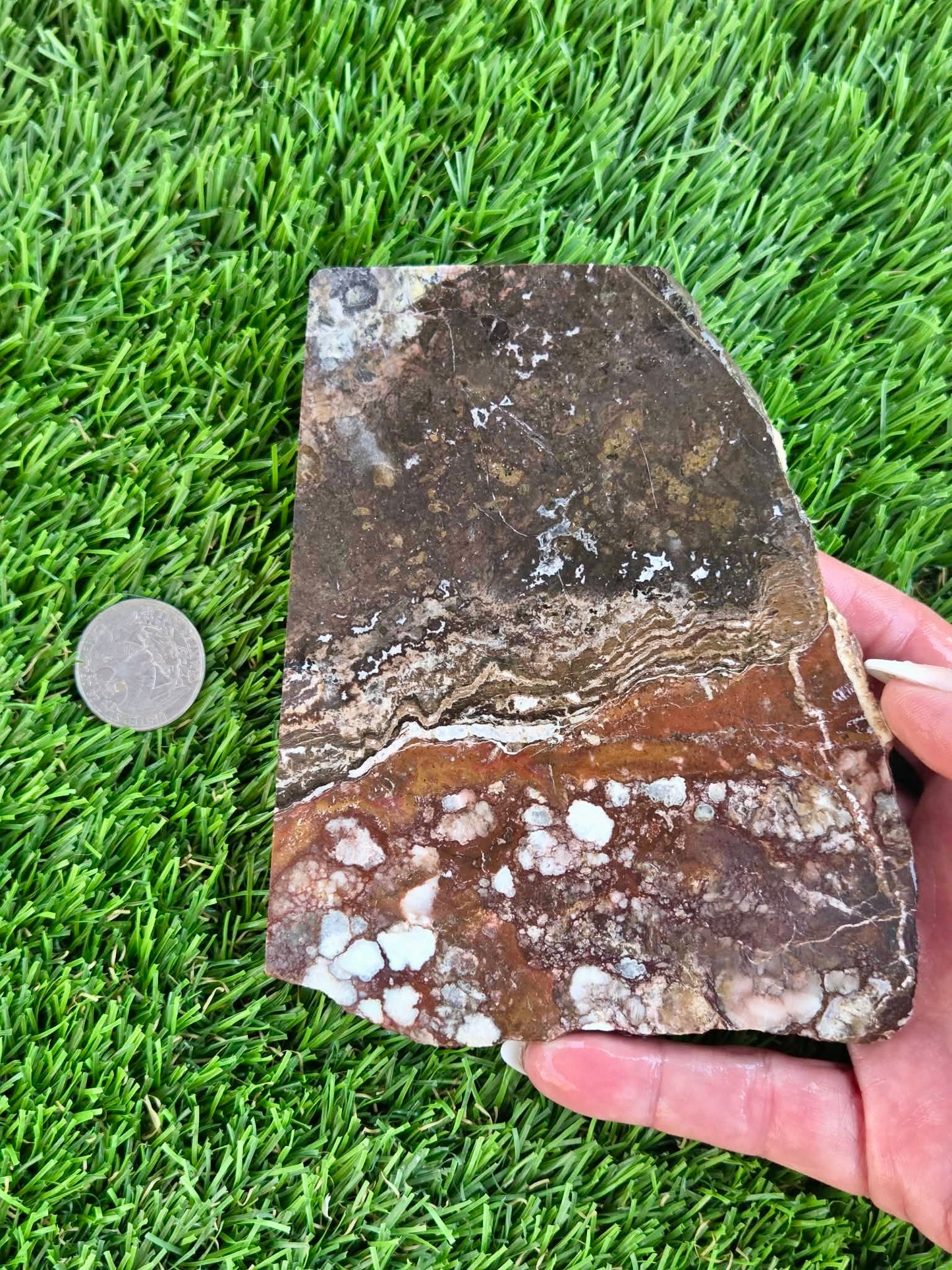 Wild Horse Jasper Slabs G354-359