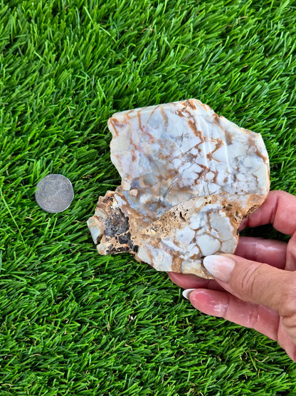 Natural Brecciated Jasper Slabs N645-649