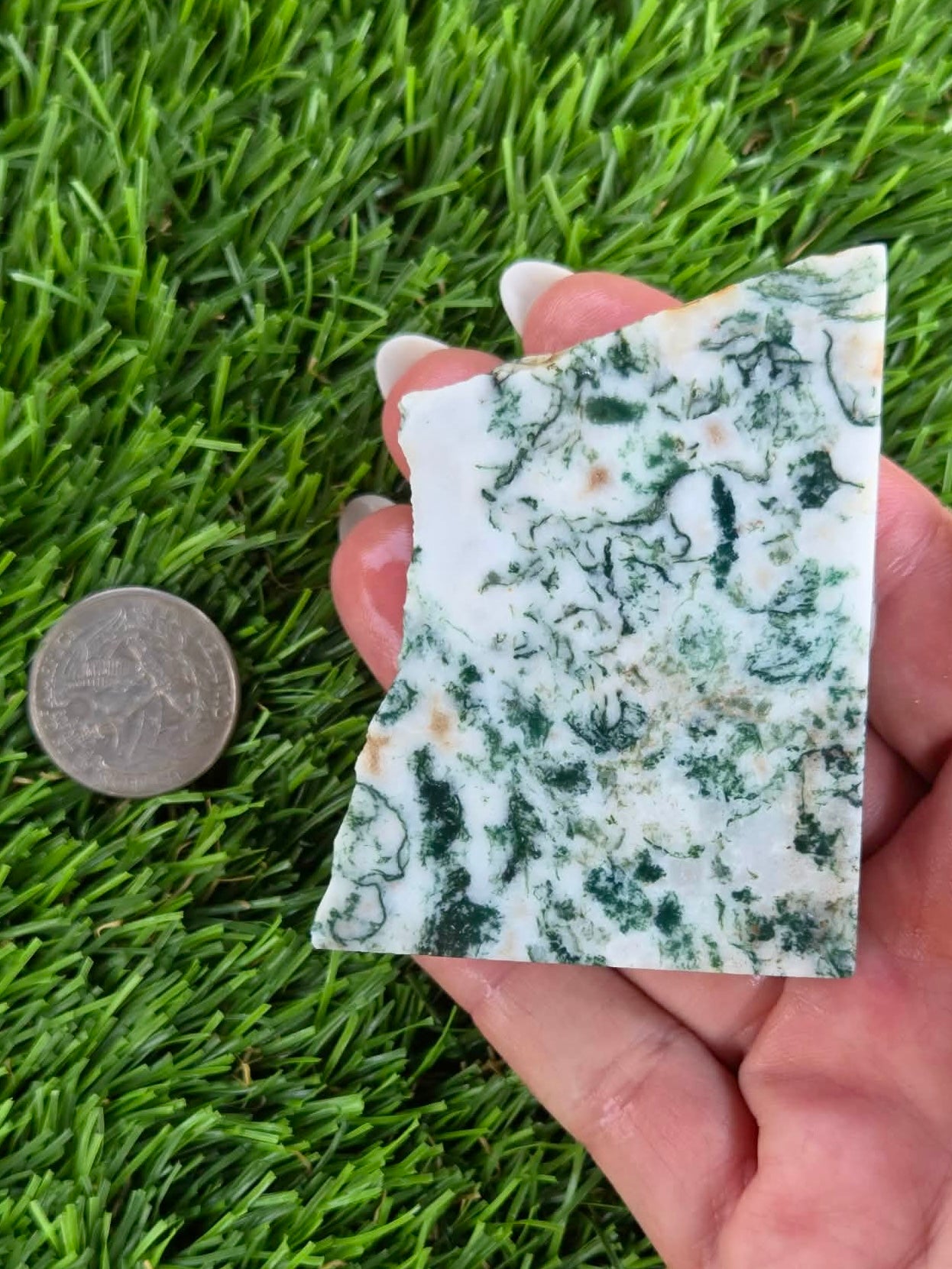 Tree Agate Slabs K523-529