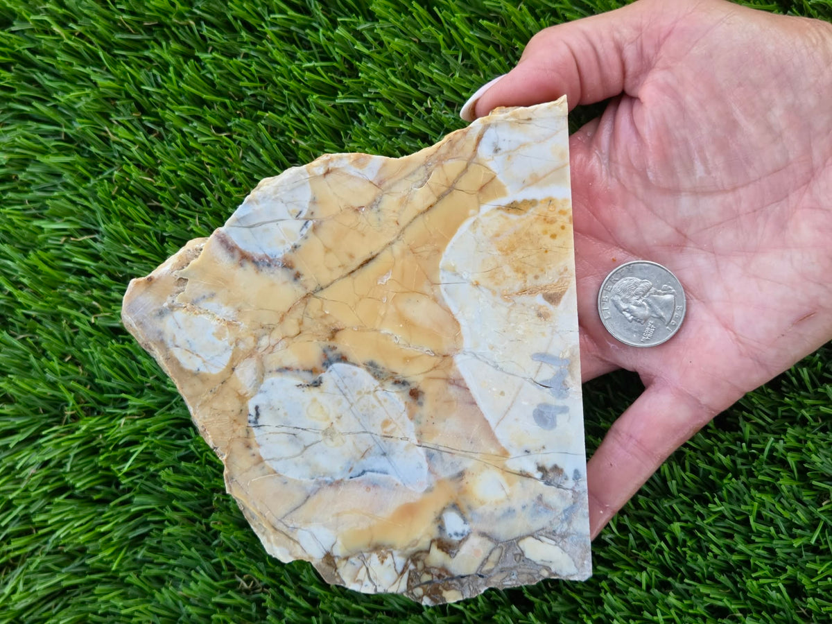 Brecciated Jasper Slabs T917–921