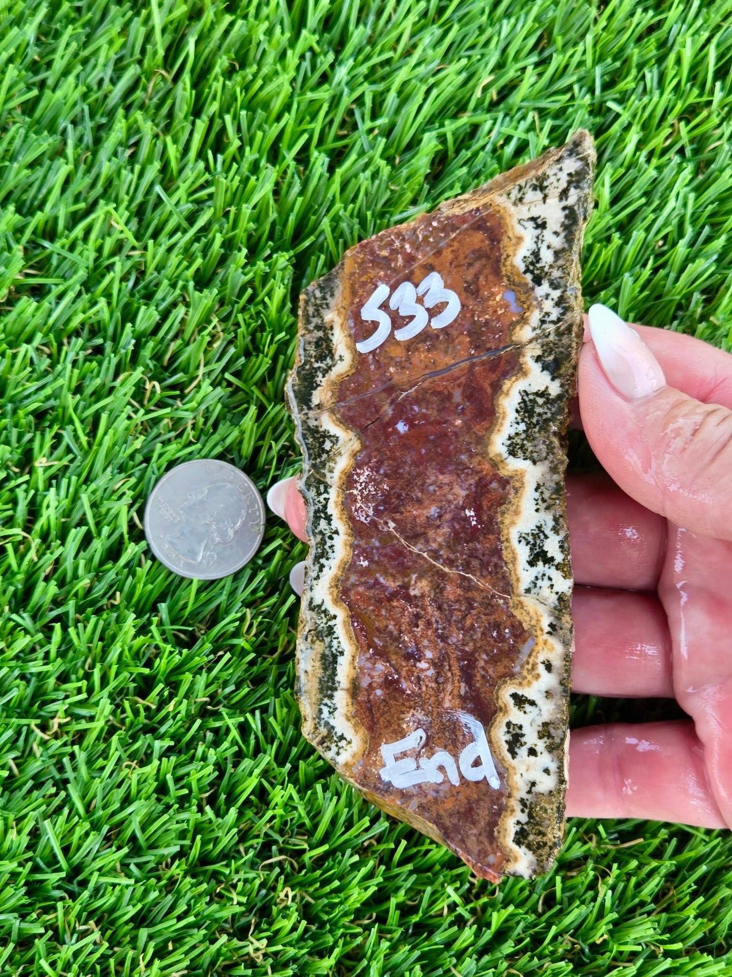 Chihuahua Lace Agate Slabs K530-533