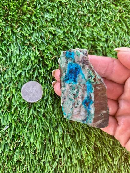 Shattuckite Slabs B95-100