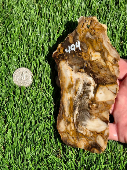 Utah Petrified Wood Slabs J492-494