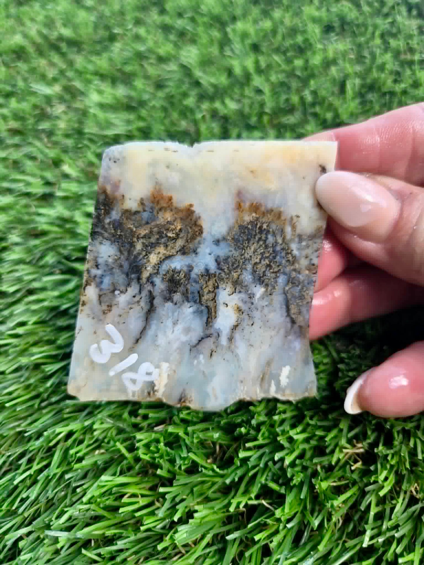 Graveyard Point Plume Agate Slabs G317-322