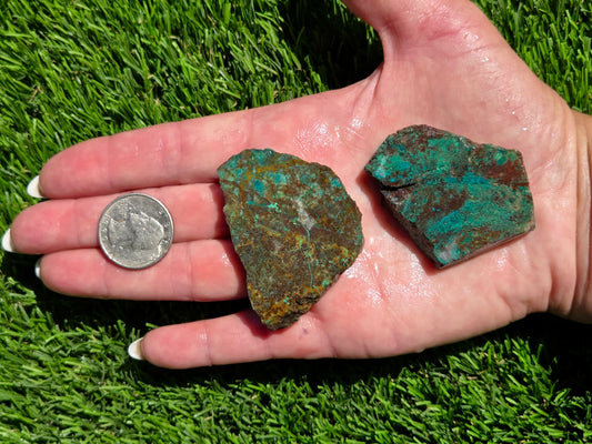 Globe Chrysocolla Slab Bundle-SB81