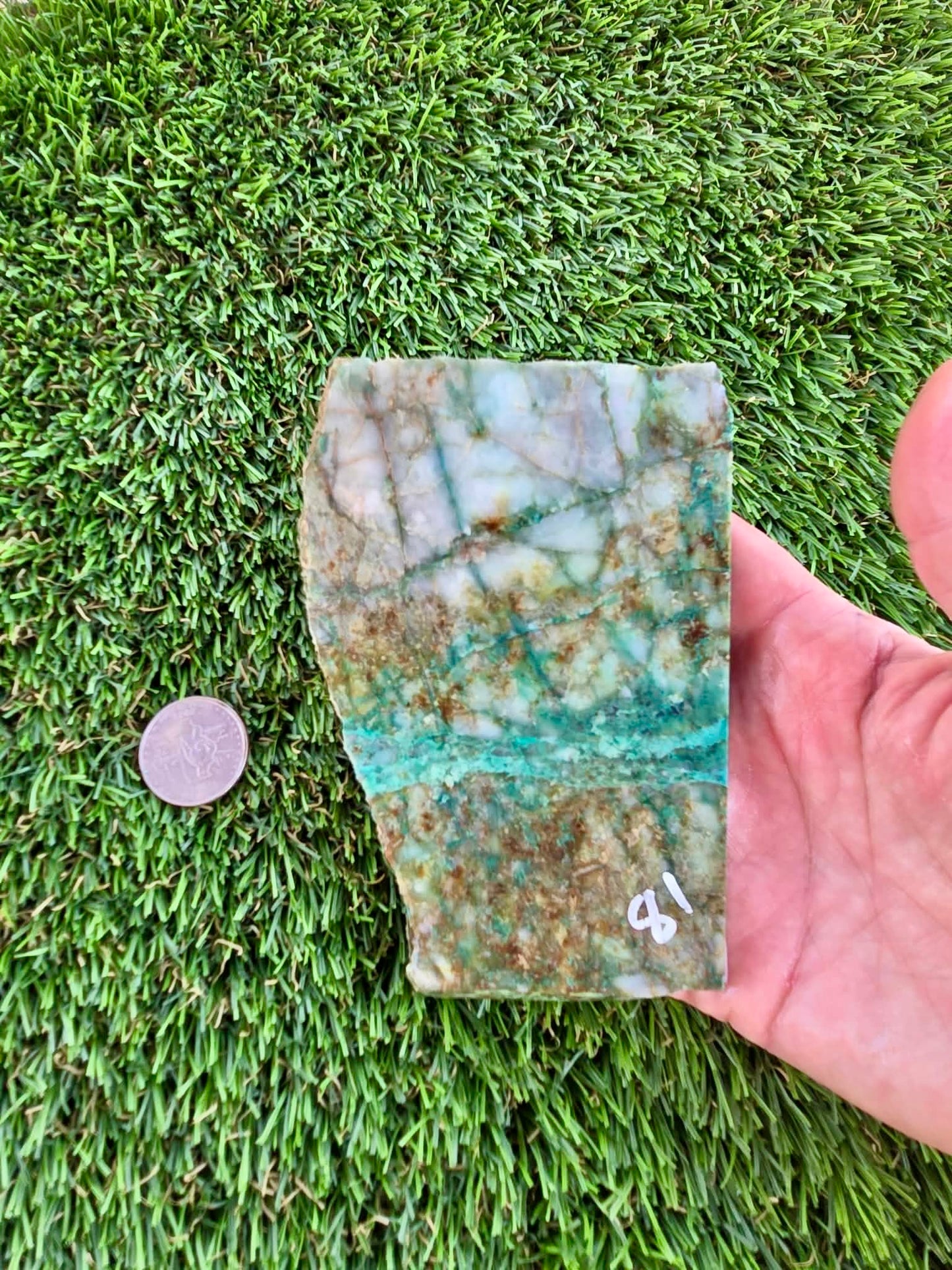 Globe Chrysocolla Slabs B79-84
