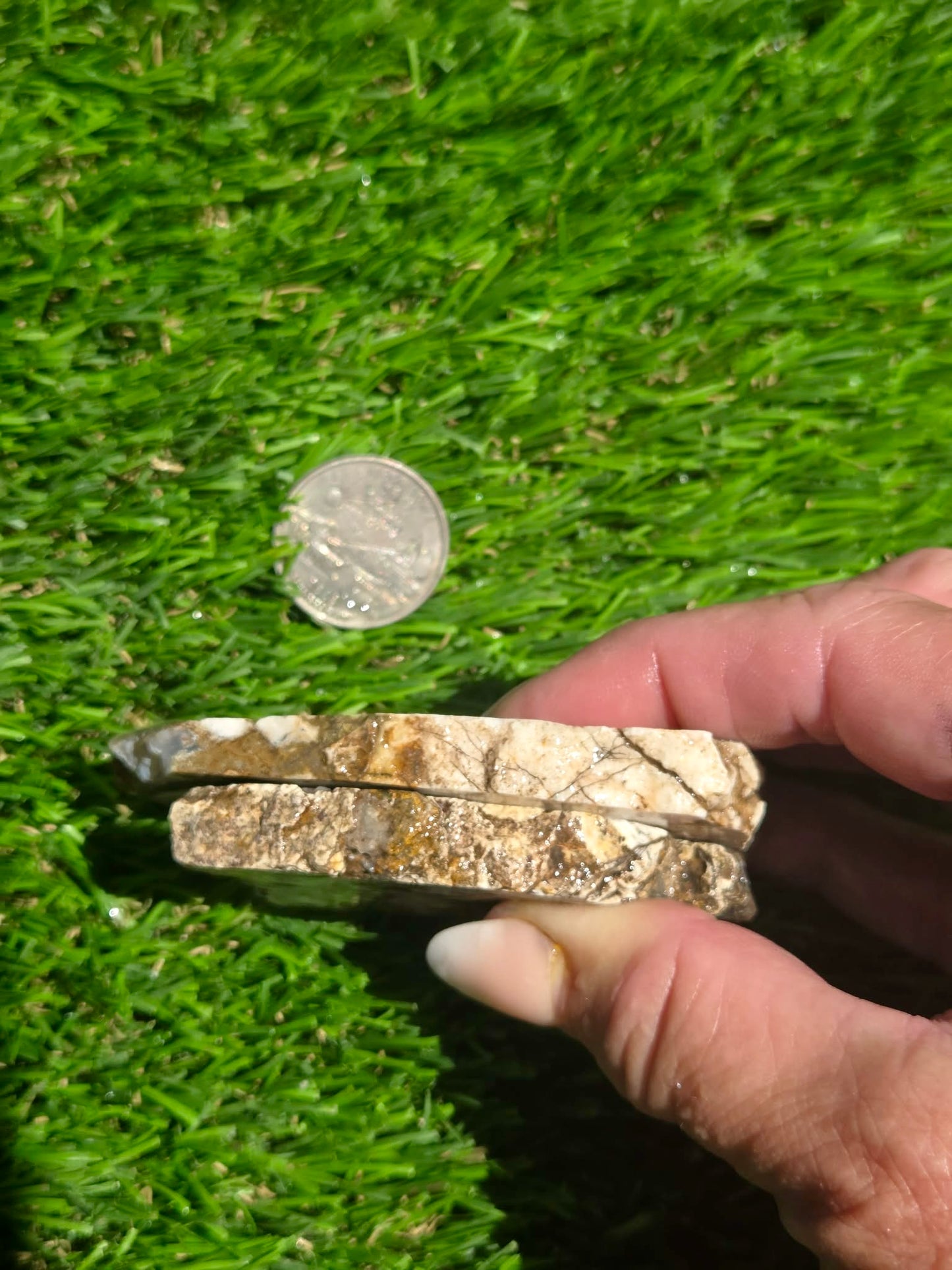Camp Verde Agate Slab Bundle SB67