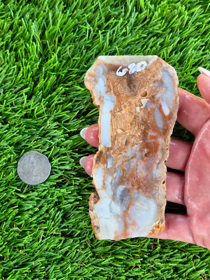 Peach, Cream & Gray Banded Agate Slabs N678-683