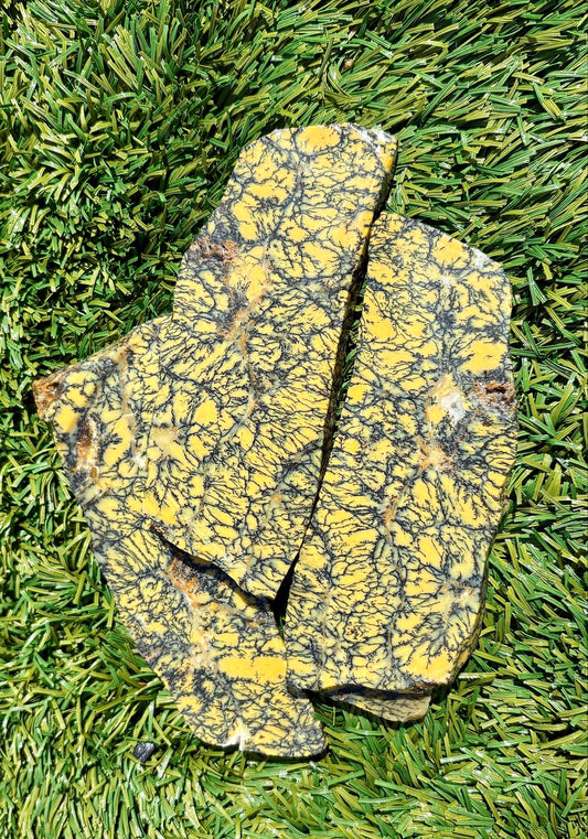 Prefumo Brecciated Jasper with Hematite