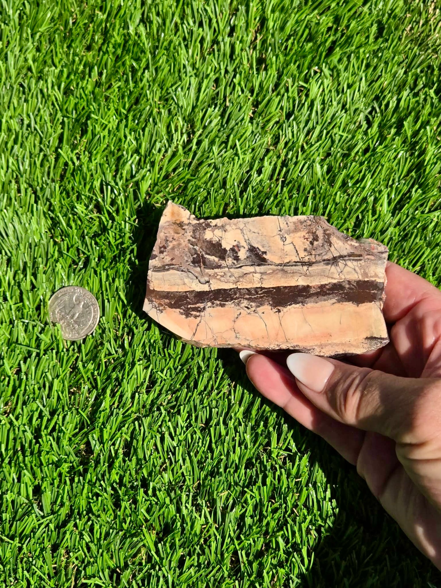 Picasso Jasper Slabs J497-502
