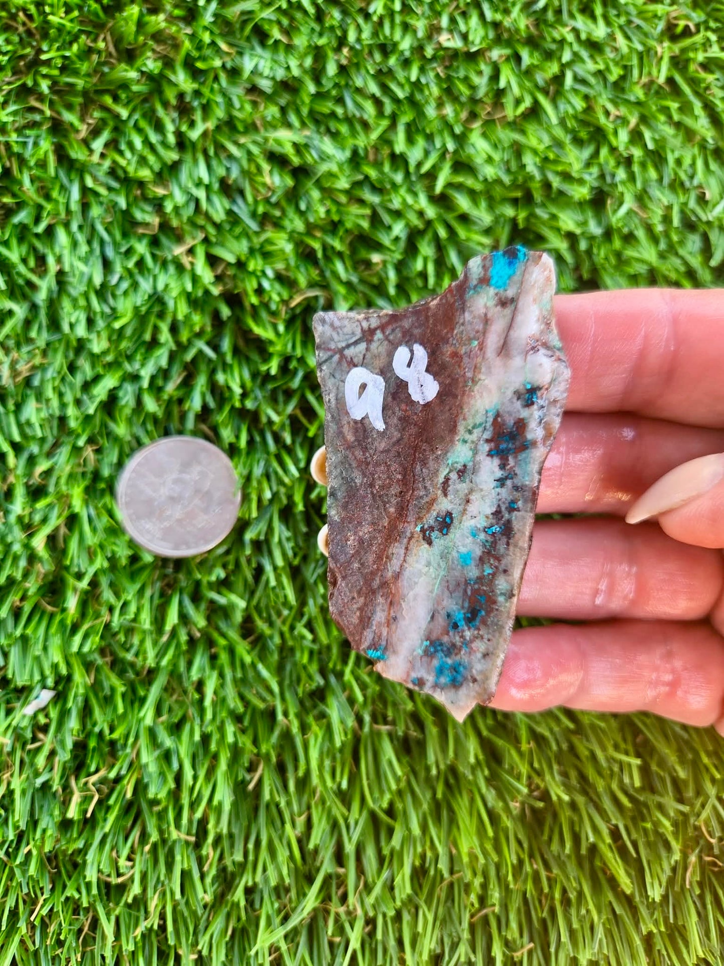Shattuckite Slabs B95-100