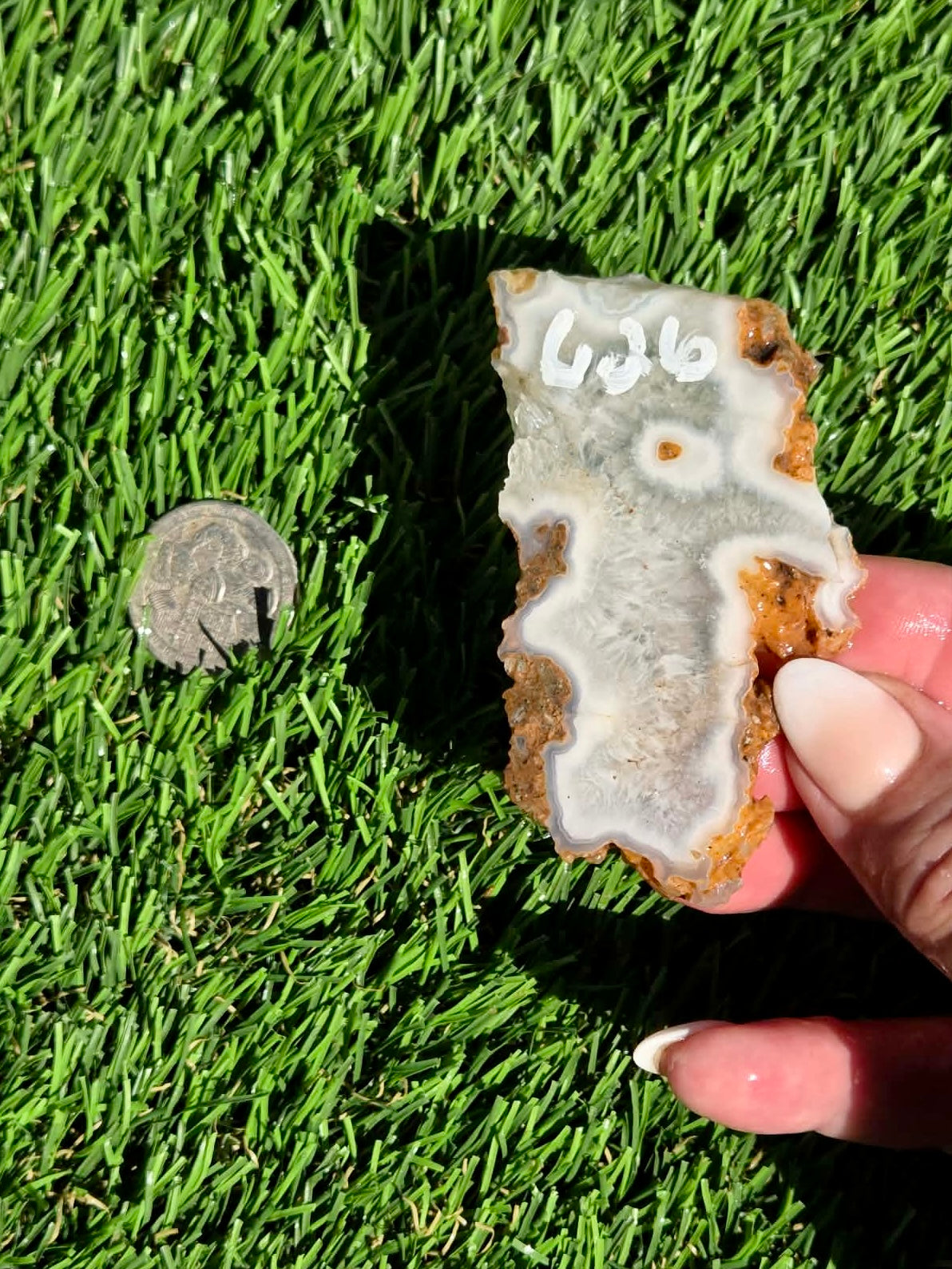 Natural Fortification Agate with Quartz Crystal Druzy Slabs M624-629