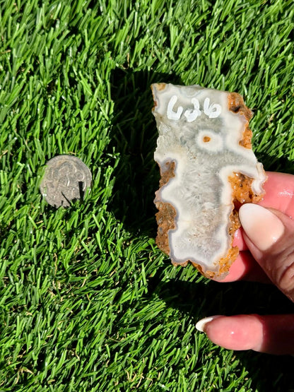 Natural Fortification Agate with Quartz Crystal Druzy Slabs M624-629