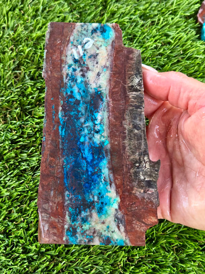 Shattuckite Slabs B107-112