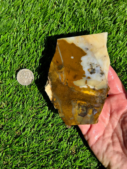 Oregon Polka Dot Jasper Slabs M612-617