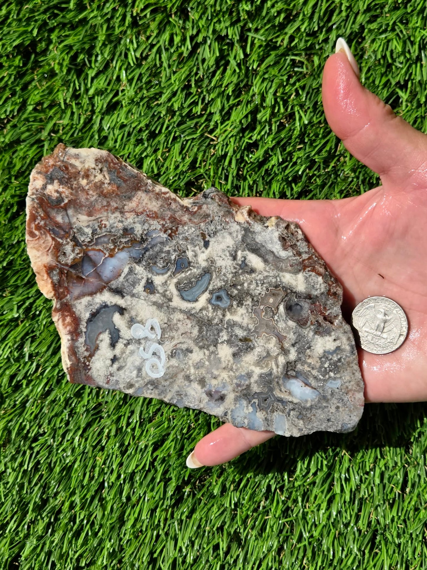 Camp Verde Agate Slabs R848–851