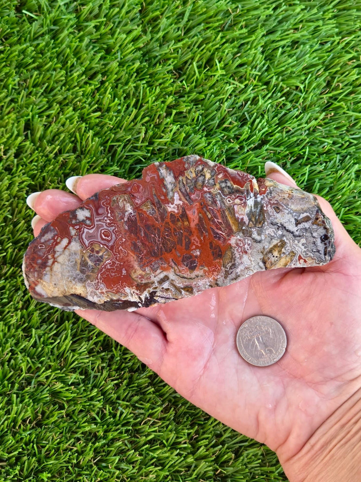 Laguna Lace Agate Slabs Q801–804