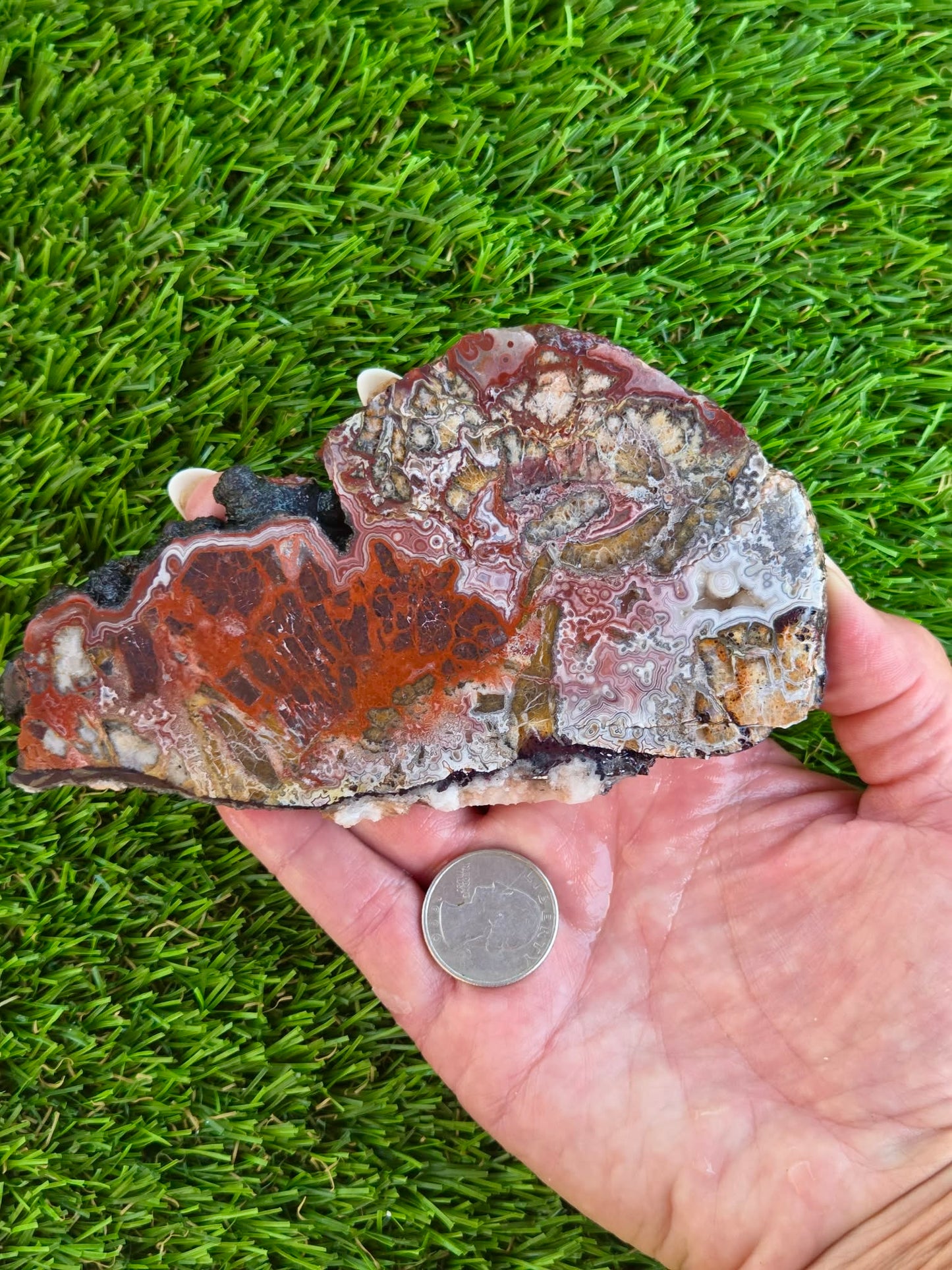 Laguna Lace Agate Slabs Q801–804