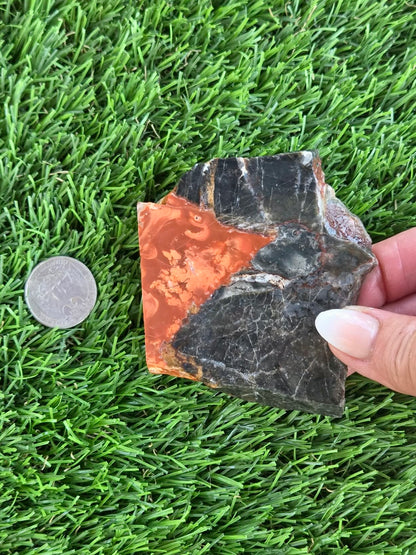 Arizona Rainbow Petrified Wood Slab J463-469