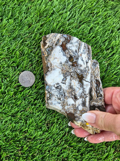 Camp Verde Agate Slabs  K512-515