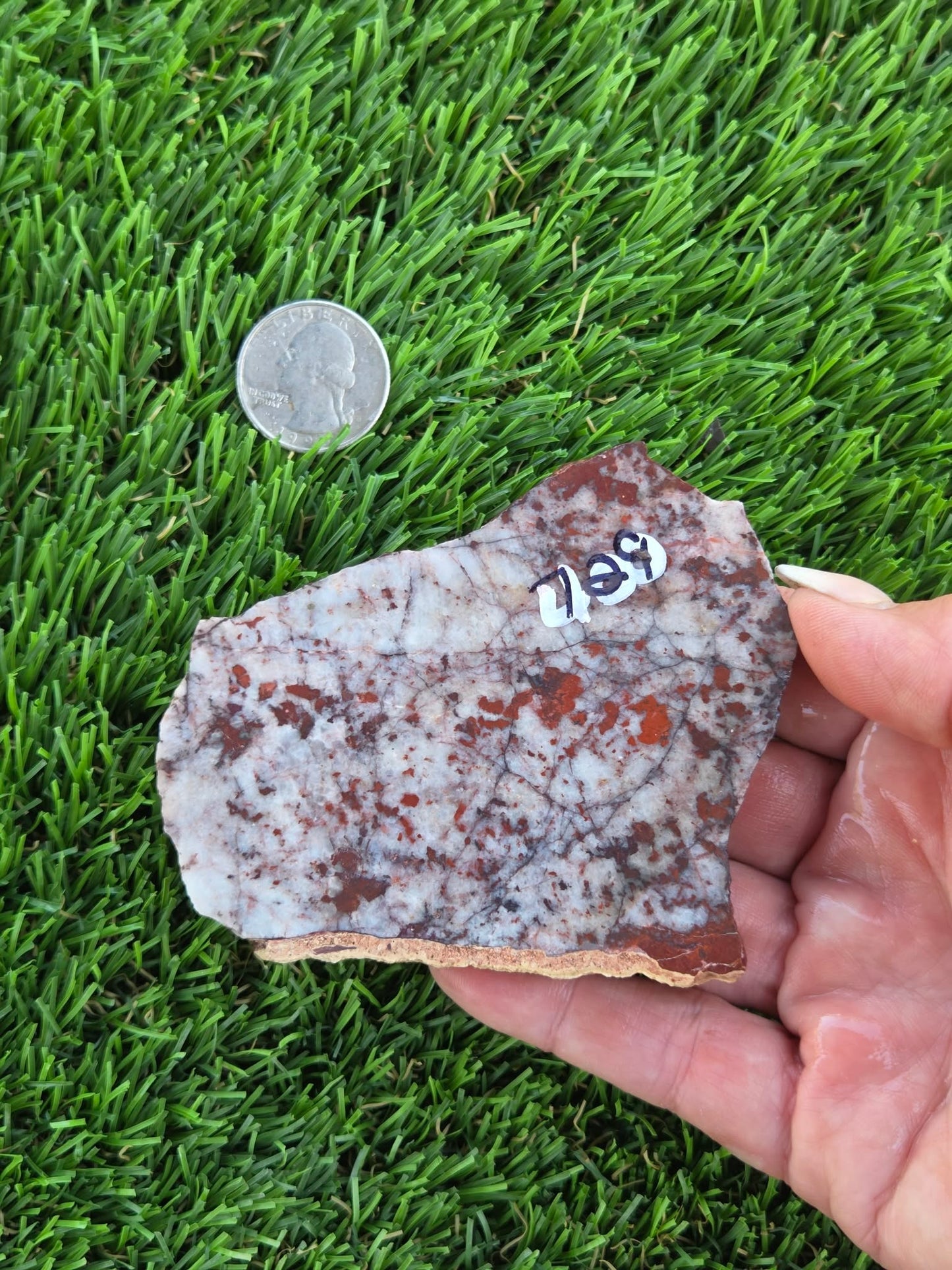 Brecciated Red Jasper with Quartz Slabs O727–730