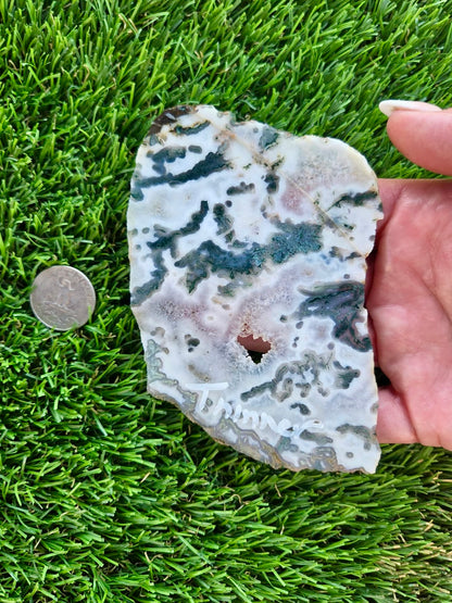 Moss Agate with Crystal Pockets Slabs H366-370