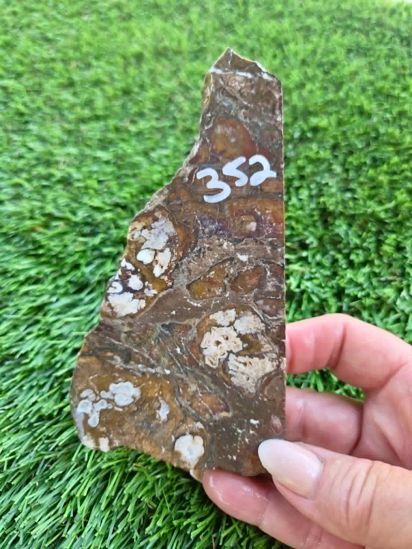Globe Arizona Brecciated Jasper G349-353