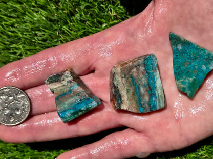 Rawley Mine Chrysocolla Slab Bundle SB115