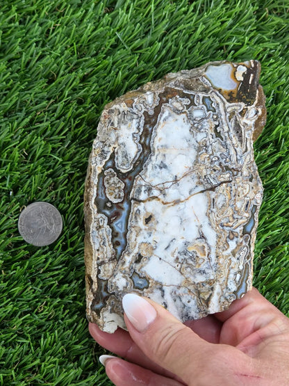 Camp Verde Agate Slabs  K512-515
