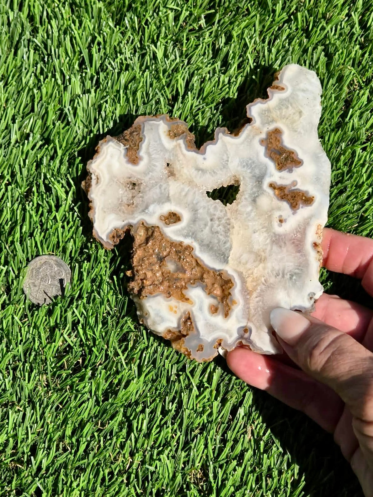 Natural Fortification Agate with Quartz Crystal Druzy Slabs M624-629