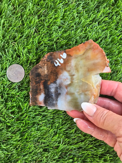Arizona Rainbow Petrified Wood Slab J463-469