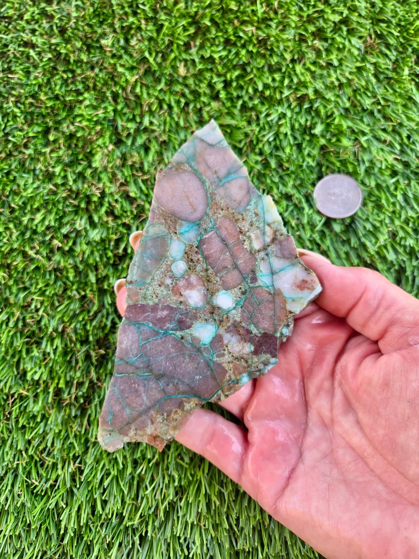 Desert Mosaic Puddingstone with Malachite Slabs A46-49
