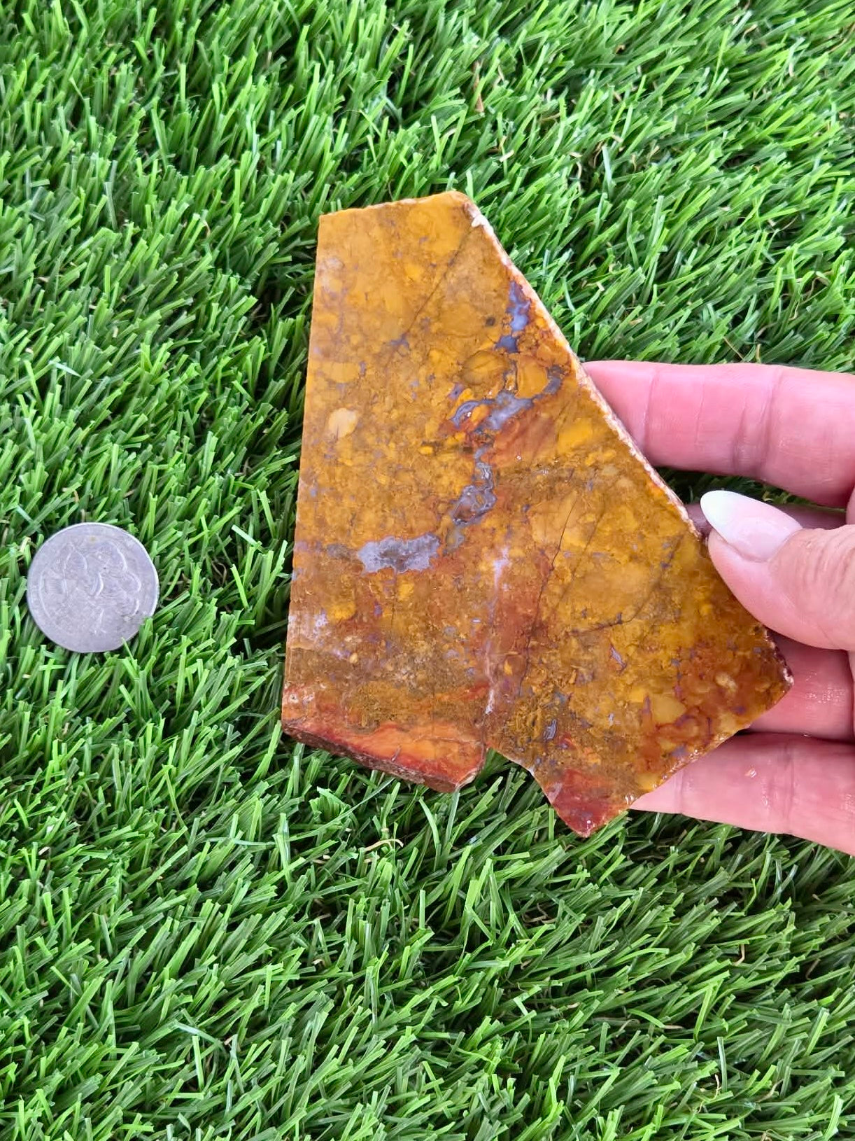 Golden Brecciated Jasper with Agate Veins M596-598