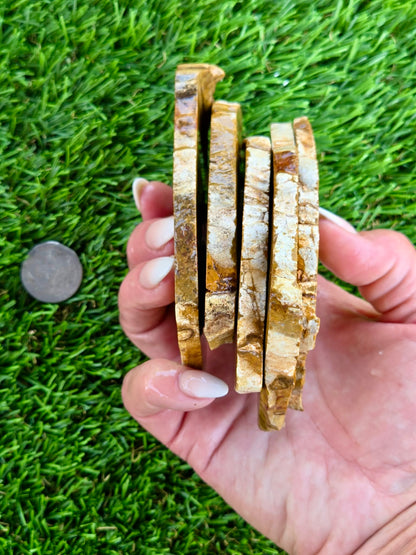Mustard Picture Jasper Slabs N673-677