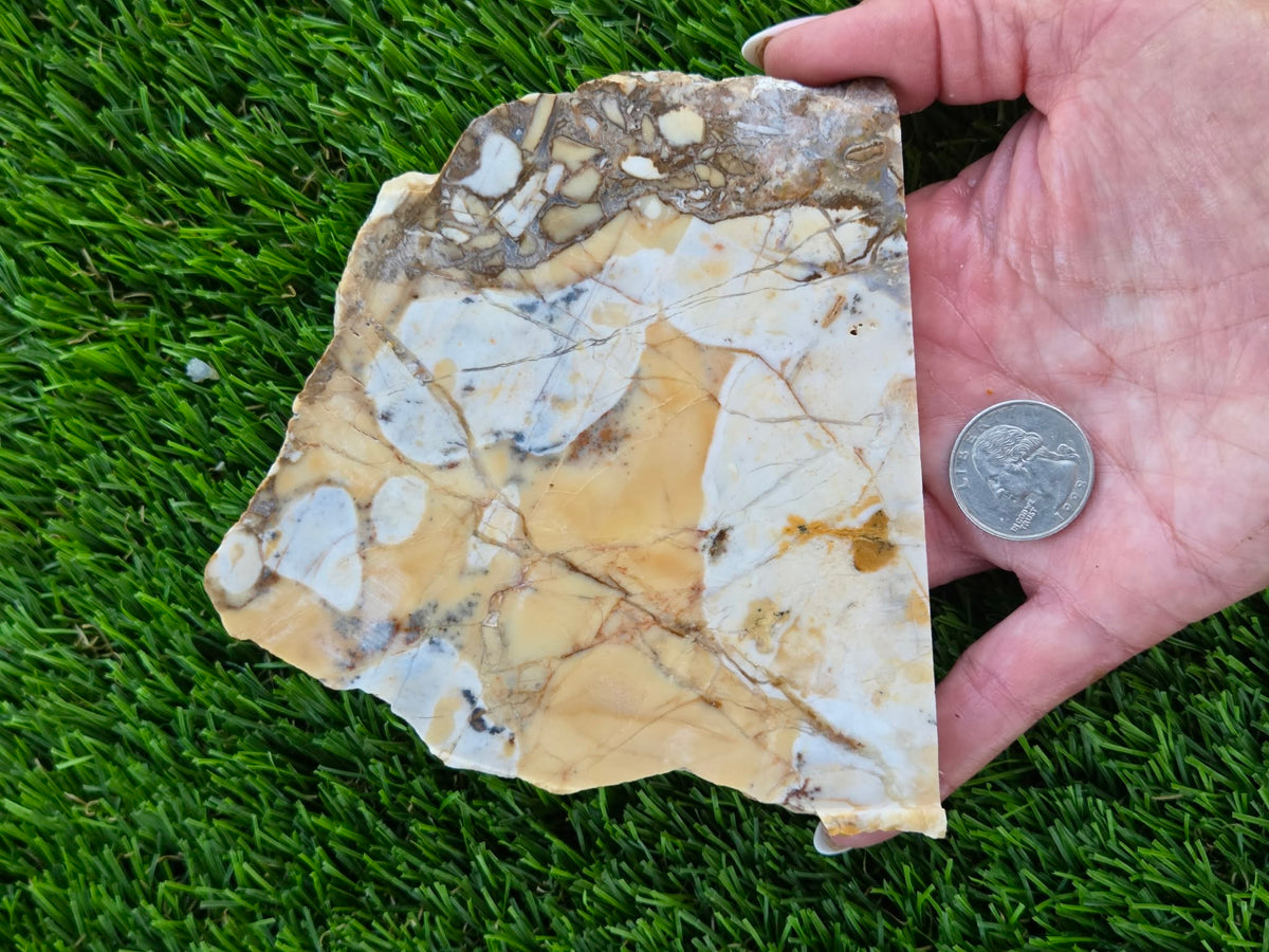 Brecciated Jasper Slabs T917–921