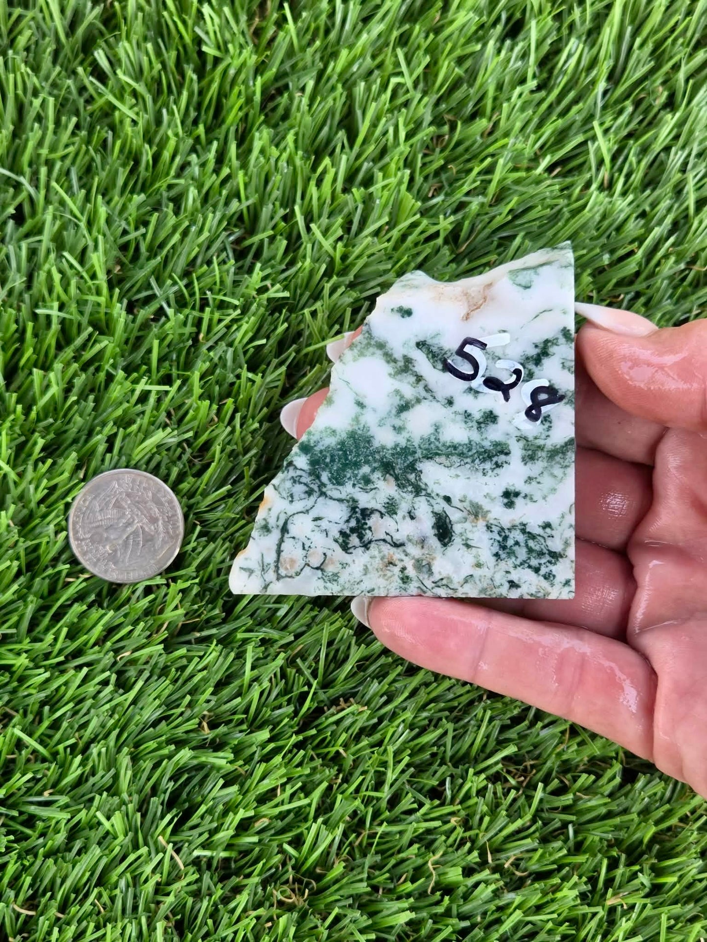 Tree Agate Slabs K523-529