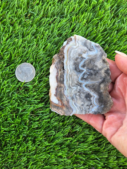 Gray Banded Crazy Lace Agate Slabs O717–723