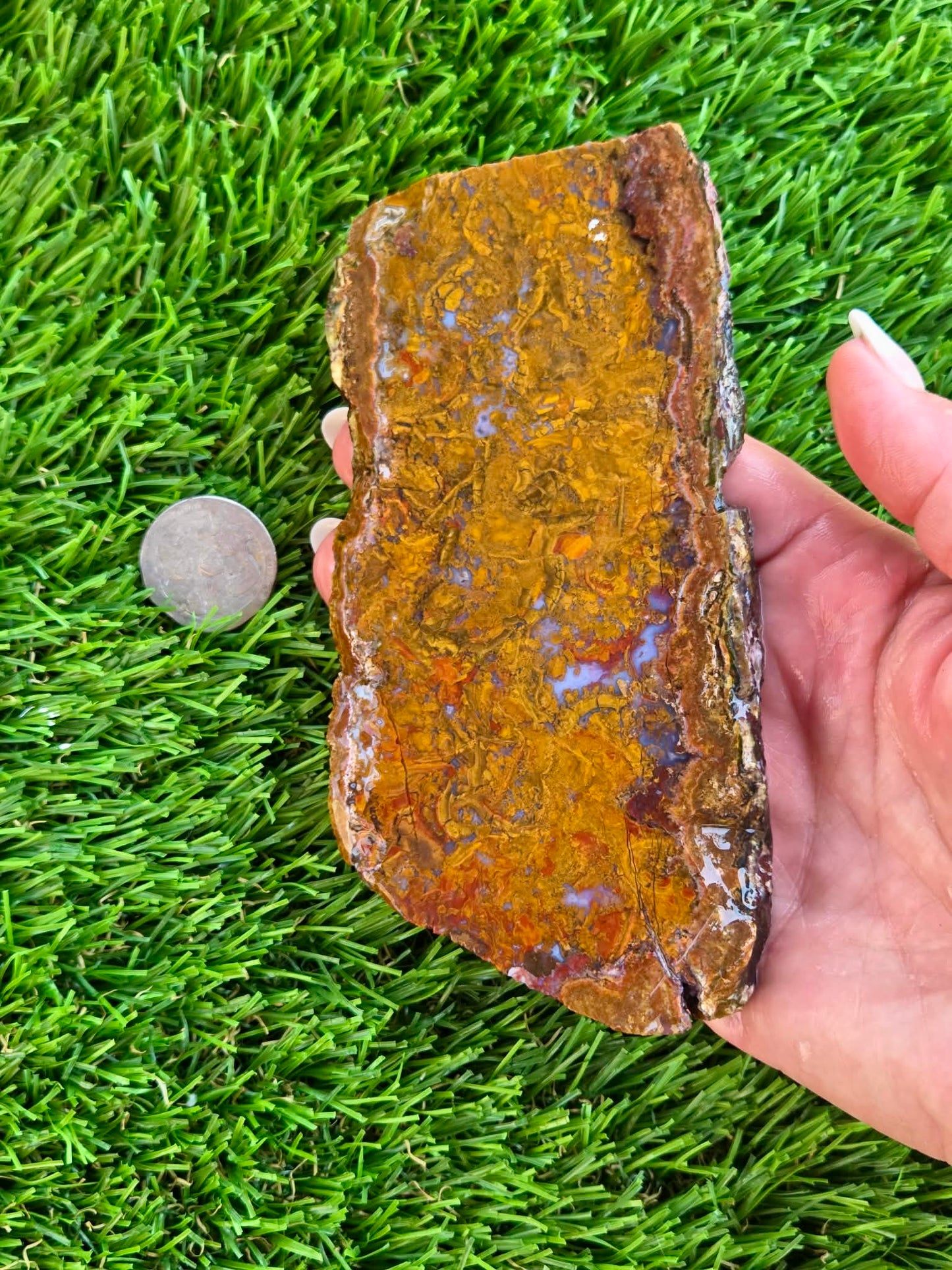 Plume Moss Agate Slabs L553-556