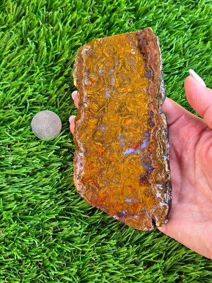 Plume Moss Agate Slabs L553-556