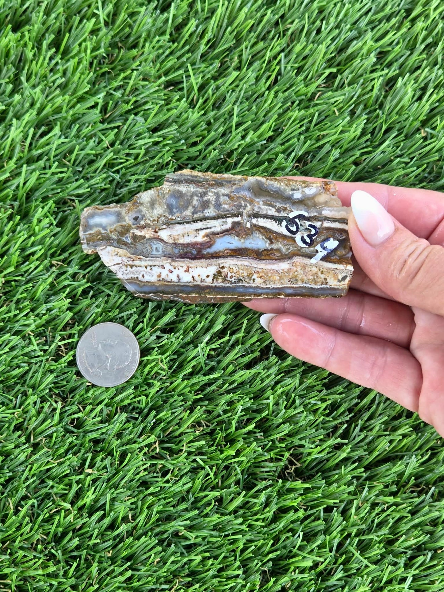 Camp Verde Agate Slabs  K534-537