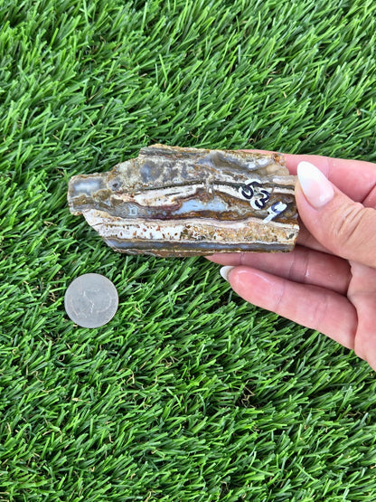 Camp Verde Agate Slabs  K534-537